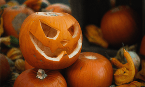 A spooky jack-o'-lantern surrounded by vibrant pumpkins