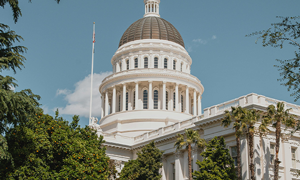 Green Garden of California State Capitol Building