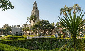 Grey Concrete Church Surrounded by Trees