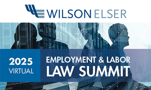 Wilson Elser 2025 Virtual Law Summitt