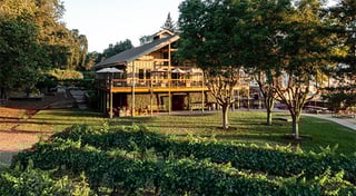 Bogle Family Vineyards